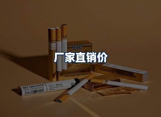 专业团队办公环境